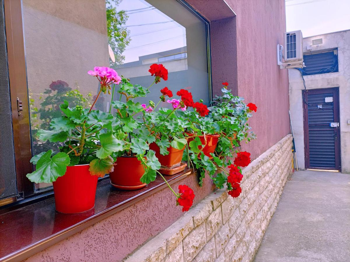 Luta Studio Bucarest Exterior foto